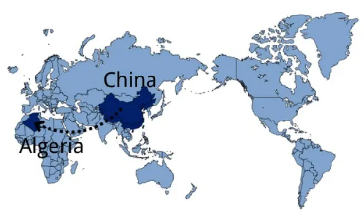 Shipping From China to Algeria
