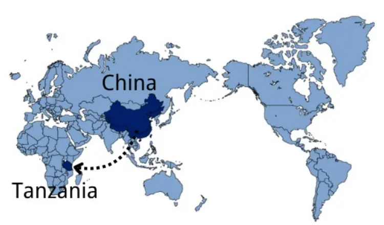 Shipping From China to Tanzania